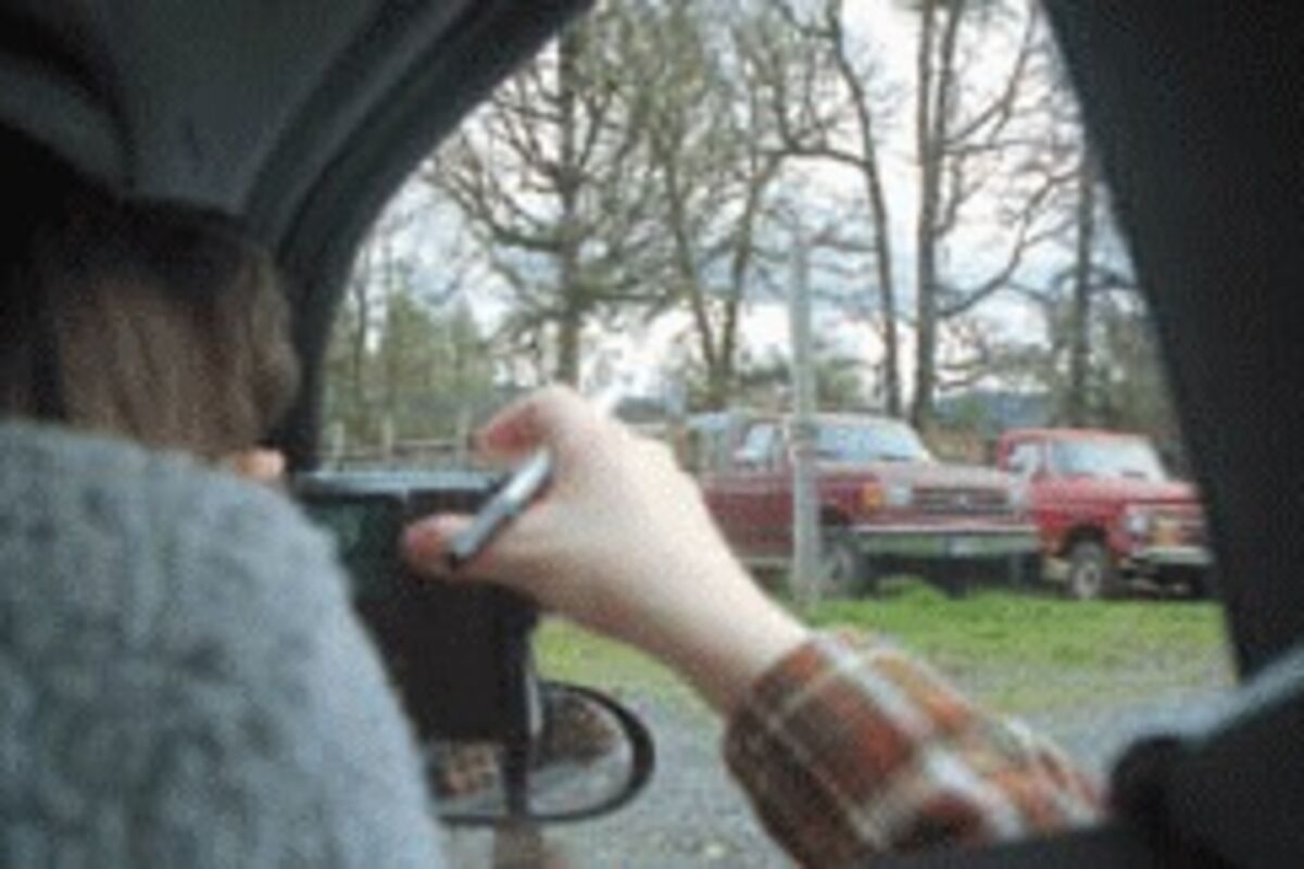 Tall grass drives busier year for code enforcement The New Era