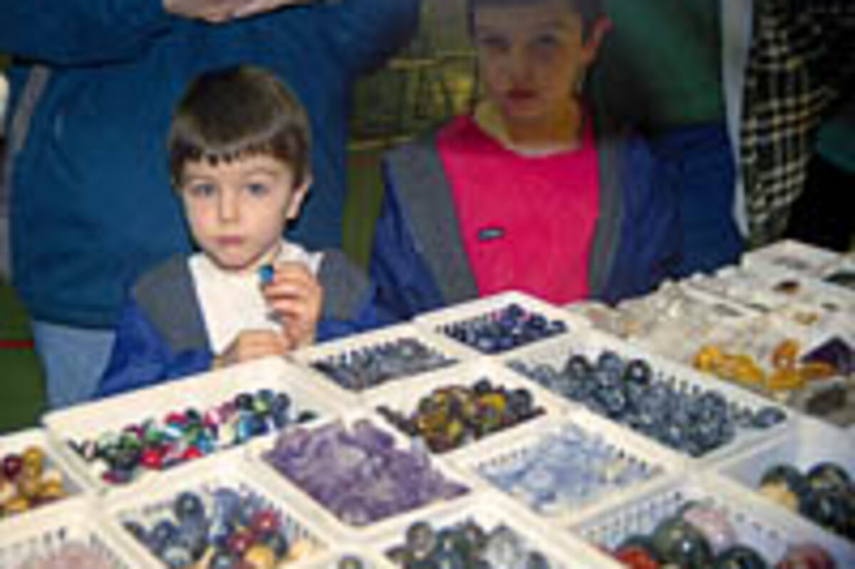 Hundreds flock to 53rd rock, gem show The New Era