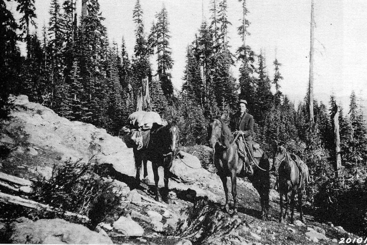 Forest Ranger 50s Former forest ranger's local history a go-to for stories of old - The ...