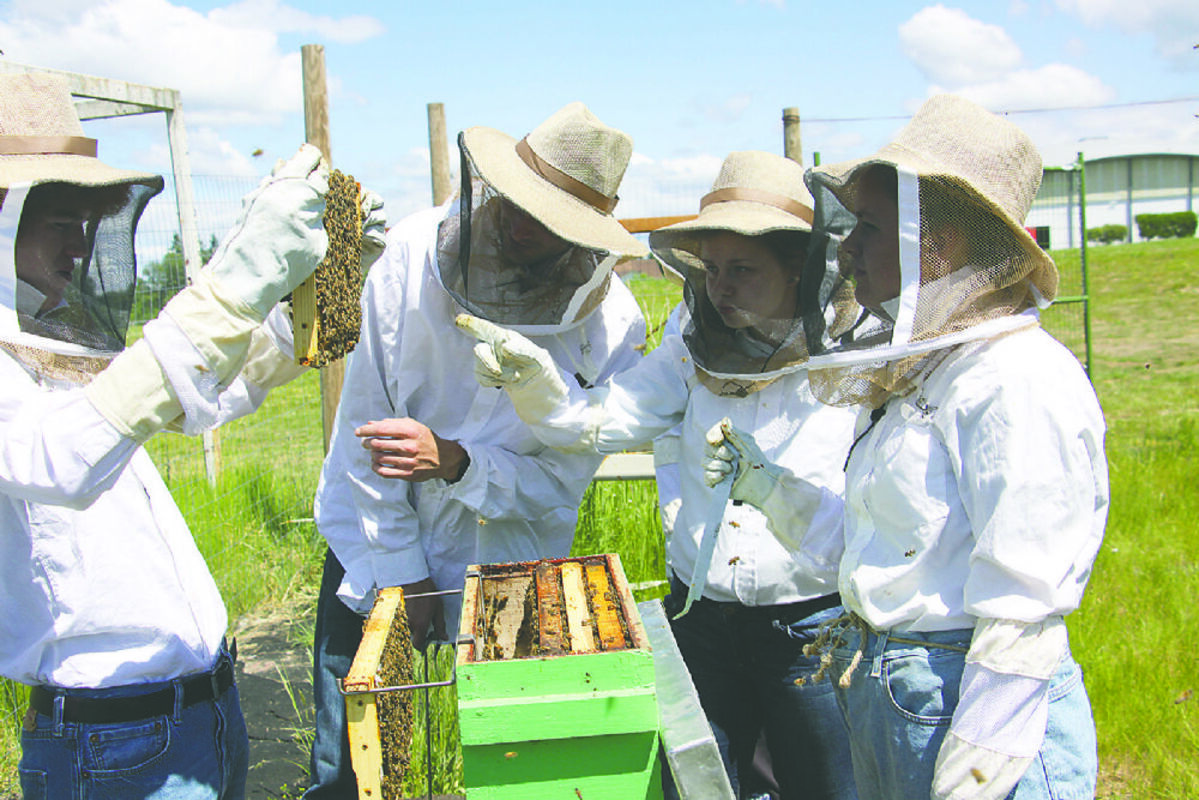Students learn hands-on science – and more – in beekeeping - The New Era