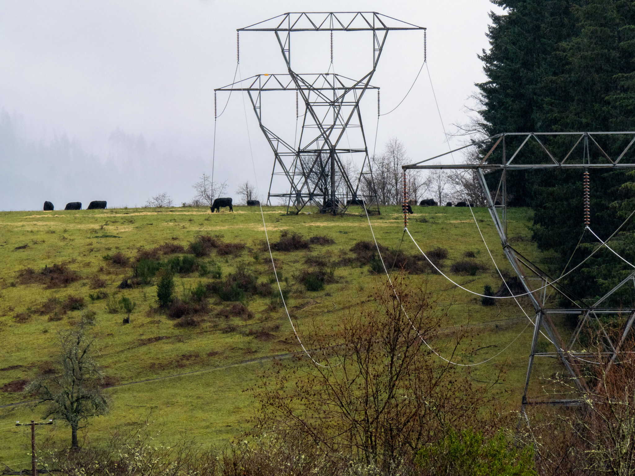 Line Bk PacifiCorp warns of bankruptcy risk - The New Era
