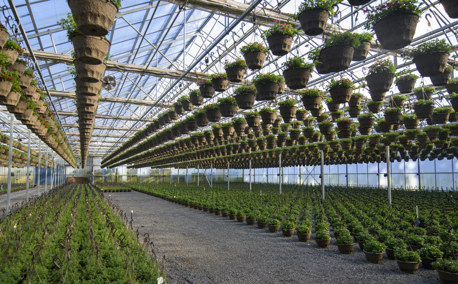 Oregon’s Climate Protection Program costs far more than other states’ — and is far less accountable