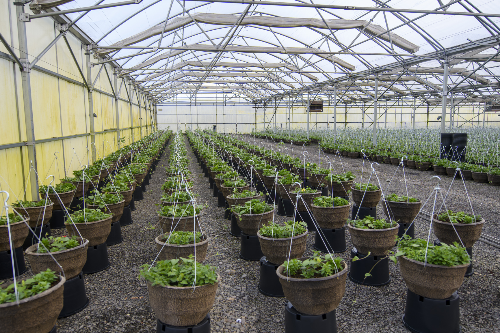 Opponents of Climate Protection Program ask court to halt Oregon’s emissions reduction regulation